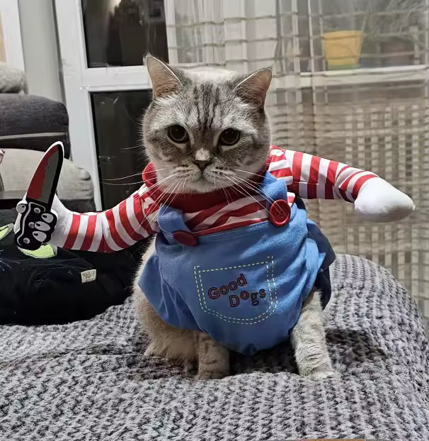 Śmieszny kostium dla psa i kota