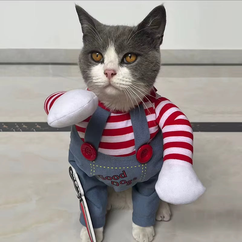 Śmieszny kostium dla psa i kota